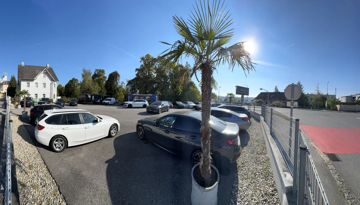 Blick über die Fahrzeugausstellung mit Palmen in Enns